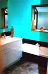 bathroom color scheme options