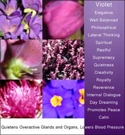 Purple Color meanings or Violet