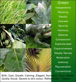 Green Color Meanings and Associations